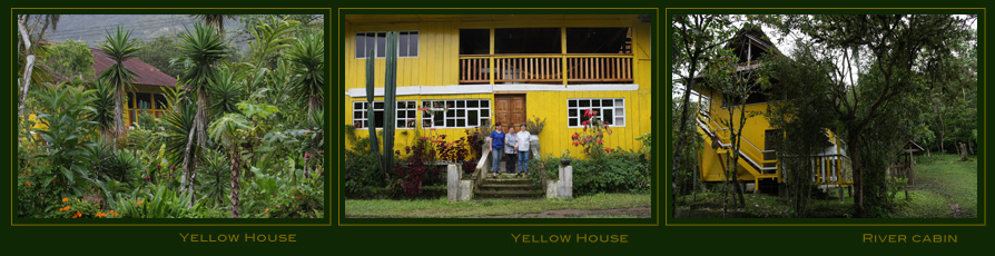 Yellow house rooms